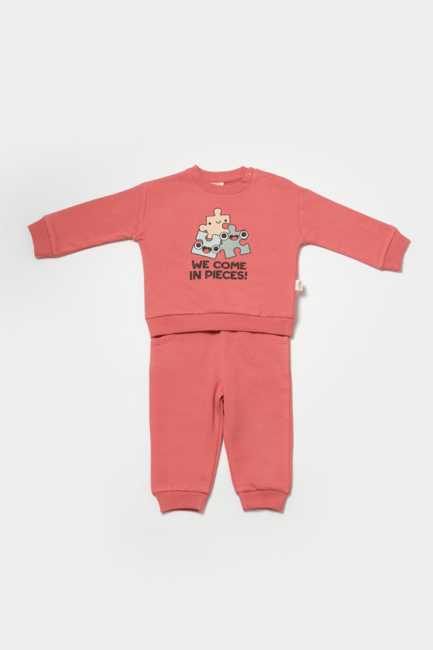 Set hanorac si pantaloni, Two thread, 100%bumbac organic - , BabyCosy